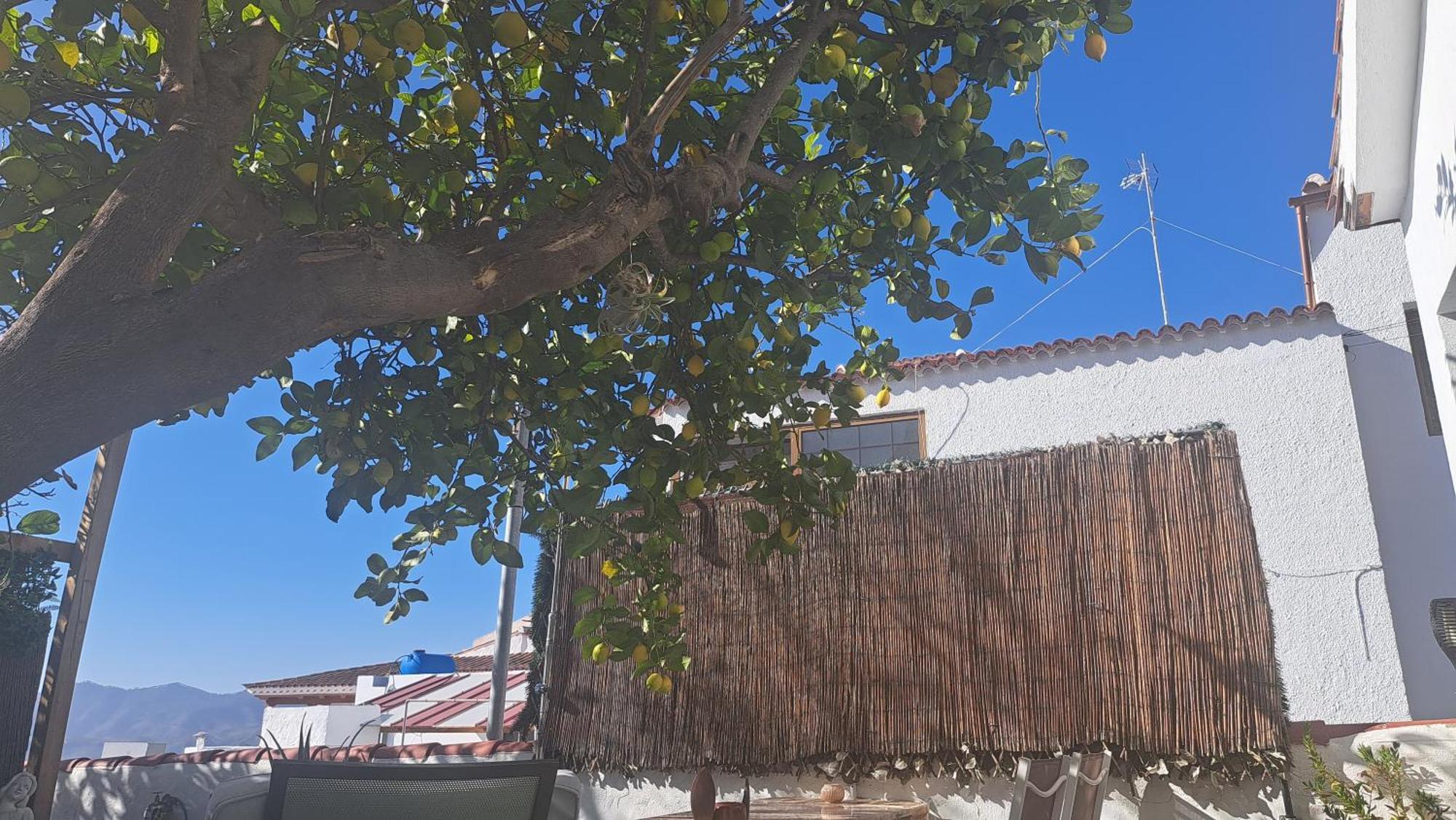 Casa Santana Segura ξενώνας Tejeda  Δωμάτιο φωτογραφία