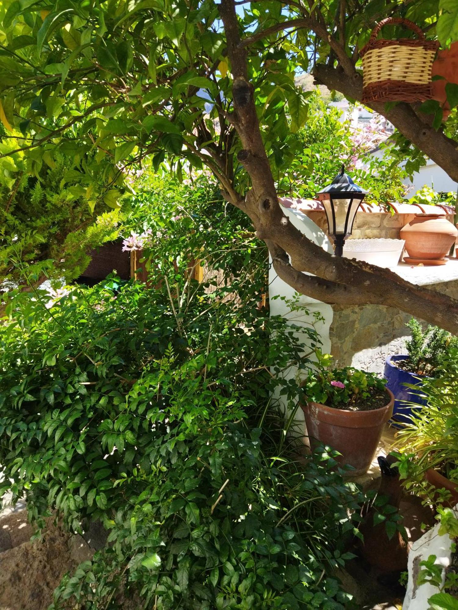 Casa Santana Segura ξενώνας Tejeda  Δωμάτιο φωτογραφία